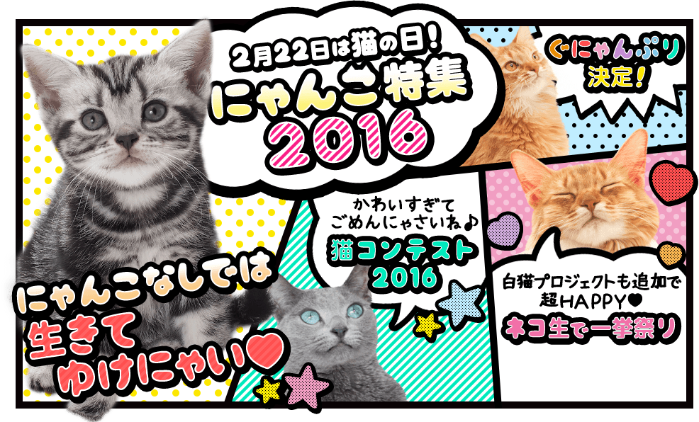 2月22日は猫の日！にゃんこ特集2016