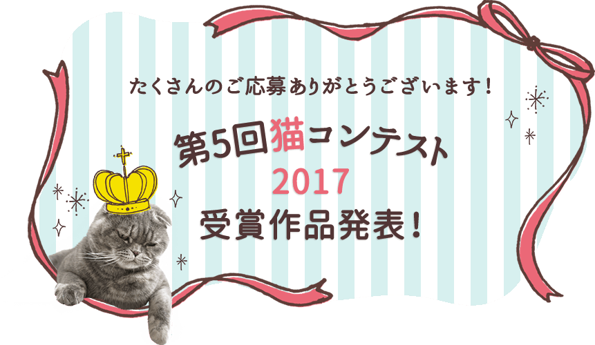 第5回猫コンテスト2017受賞作品発表！