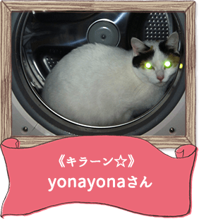 《キラーン☆》yonayonaさん