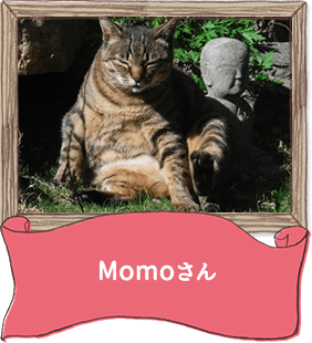 Momoさん