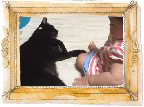 《黒猫と赤ちゃんのもふもふ成長記》