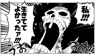 One Piece ワンピース Jump Comics Digital Guide